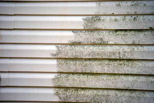 Best Carpet Removal and Disposal  in Highland Heights, KY