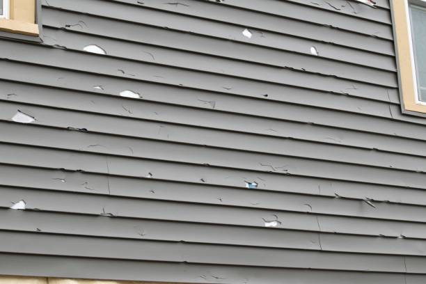 Best Yard Waste Removal  in Highland Heights, KY